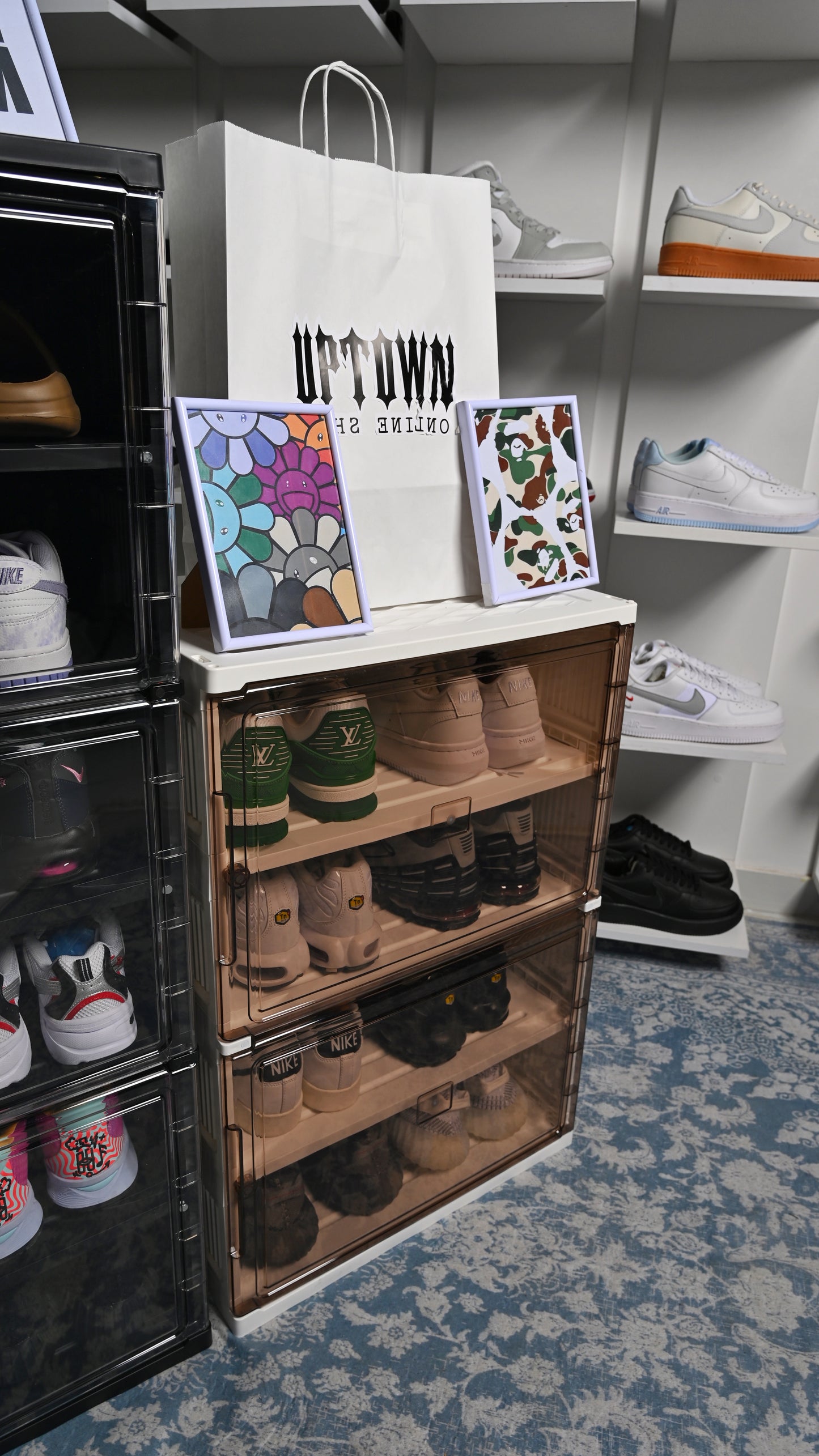 Shoe Containers Rack
