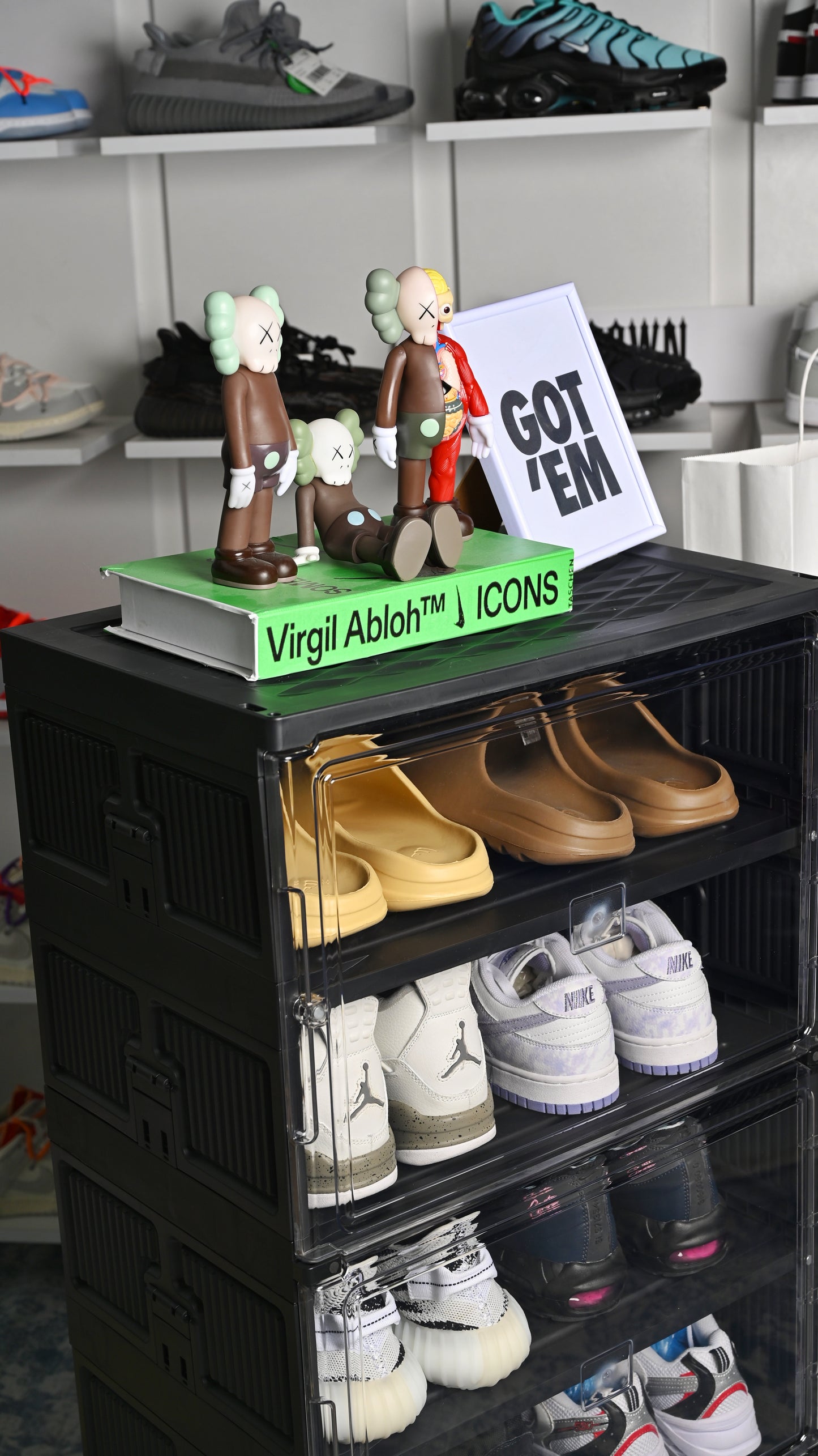 Shoe Containers Rack