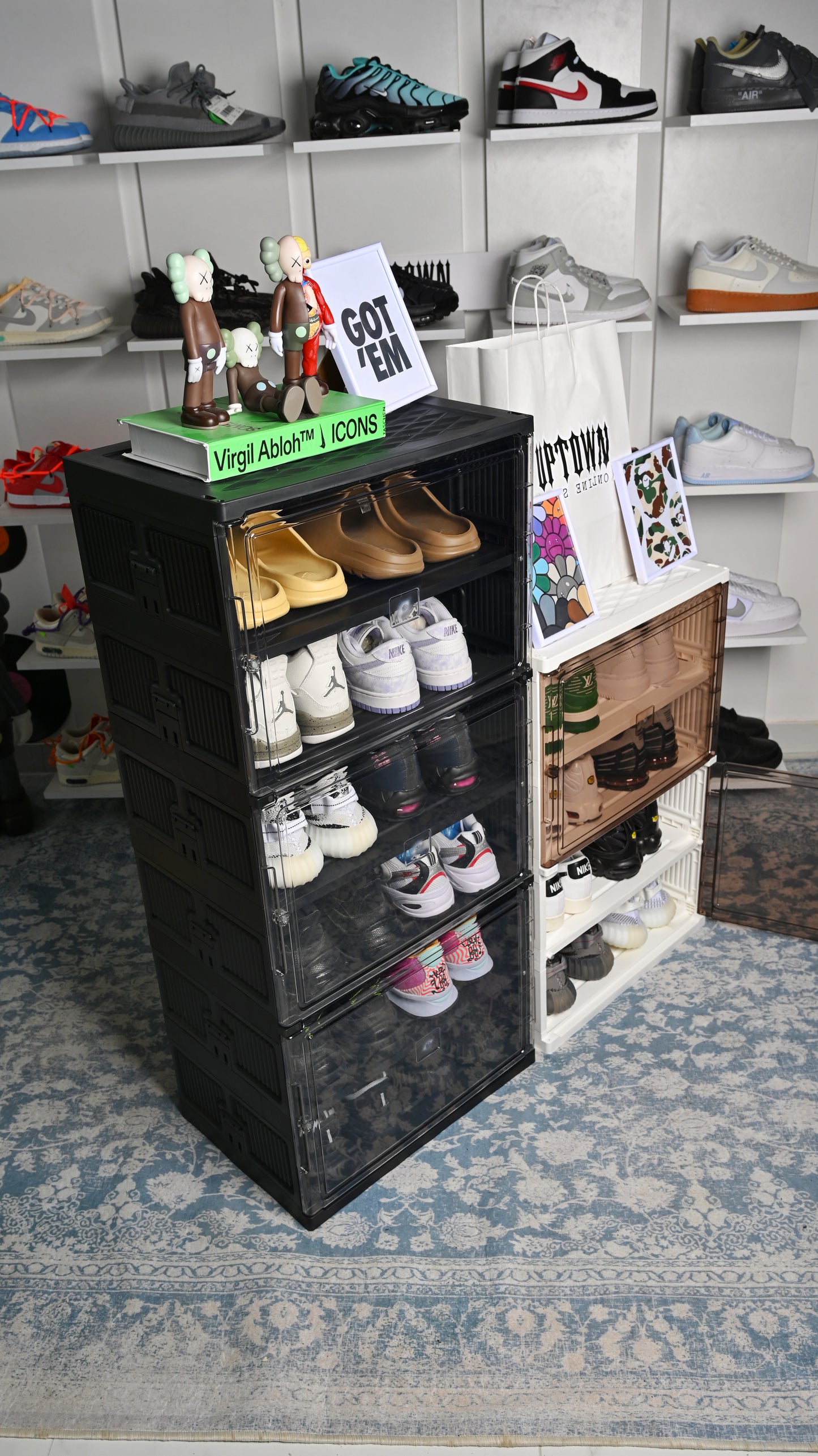 Shoe Containers Rack