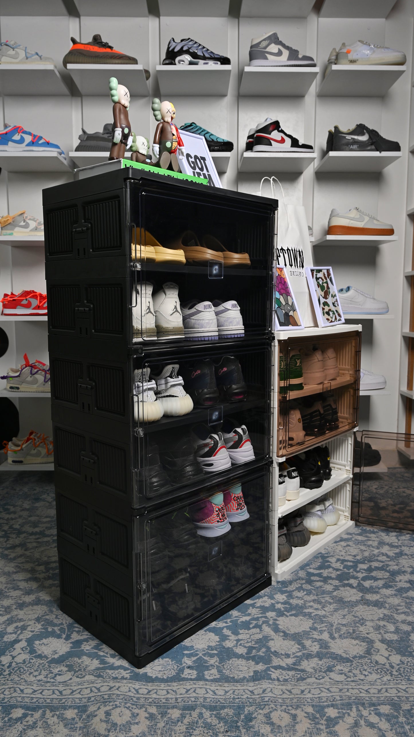 Shoe Containers Rack