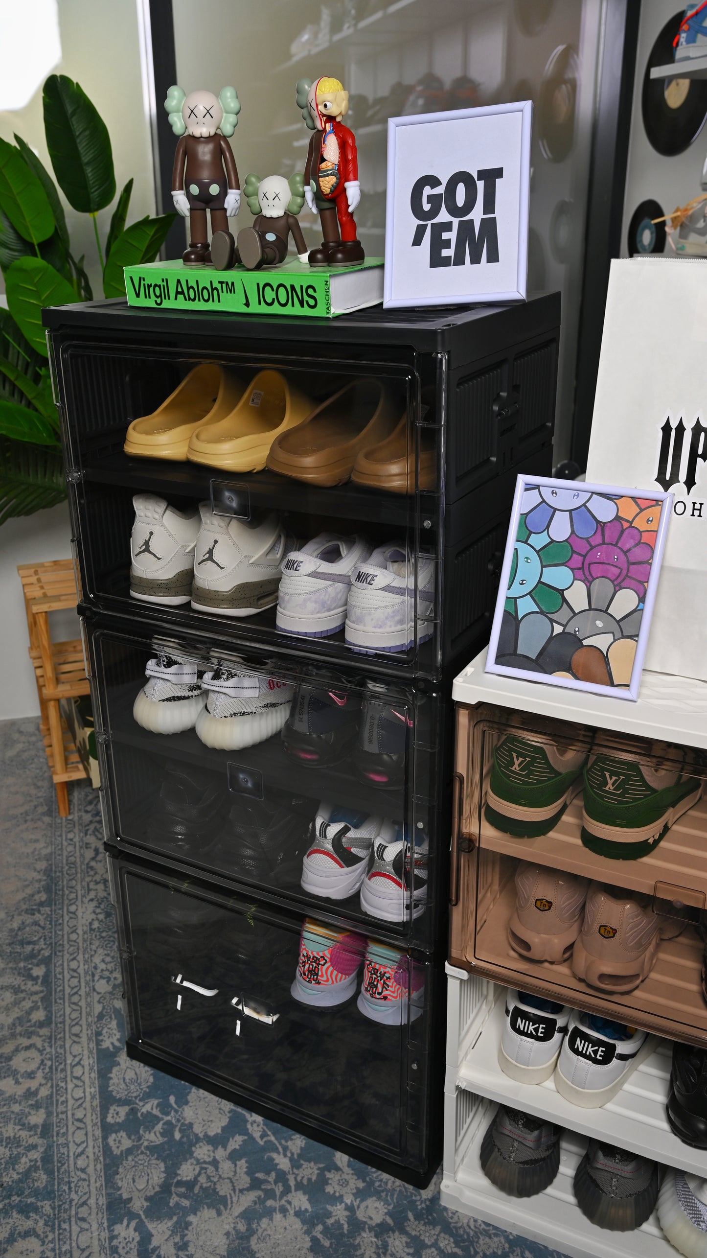 Shoe Containers Rack