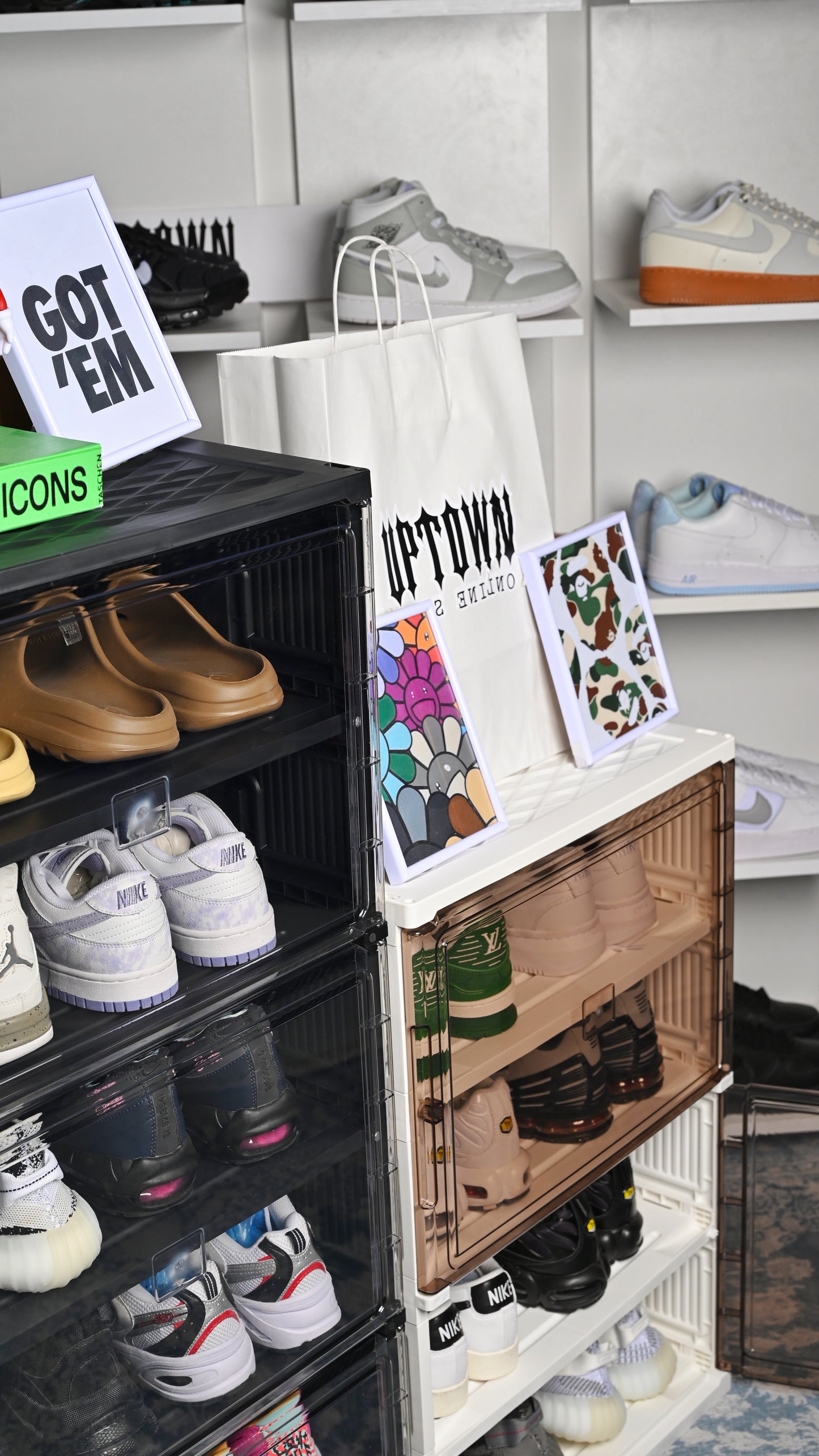 Shoe Containers Rack